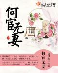 何宦无妻结局