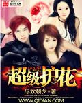 超级护花保安