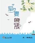 军妻长提