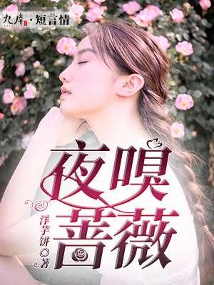 夜嗅蔷薇全文免费阅读