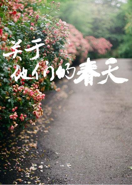 关于他们的那些年txt