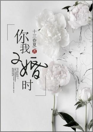 我陪你二婚
