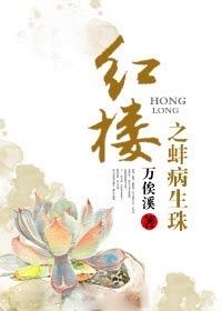 红楼之宝珠