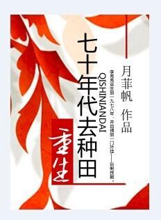 重生七十年代文
