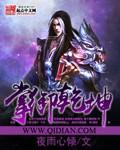 掌御乾坤1台球杆质量与口碑