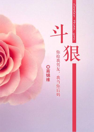 斗狠by商锦维讲了什么