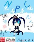 NPC系统前置
