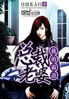 我的霸道总裁老婆杨辰林若曦