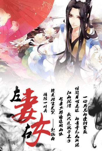 左妻右妾超能圣手