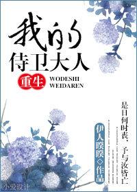 我的侍卫大人晋江