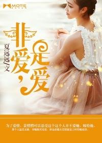 是爱非ai