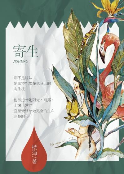 你从夜色而来 楼海讲的什么