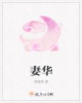我的傻白甜老婆正版全文免费