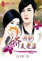 我的娇妻全文免费阅读理解