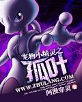 宠物小精灵之独梦免费阅读