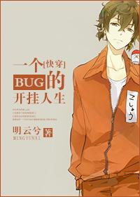 一个bug是bug两个bug是
