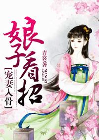 娘子宠你无度