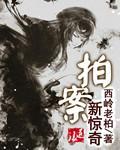 拍案新惊奇在线阅读