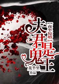 夜半夫君请指教无弹窗