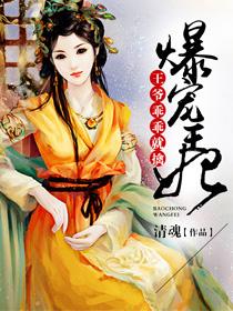 爆宠小王妃