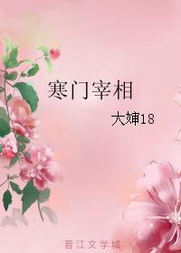 寒门宰相女主角一览表