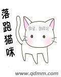 猫跑丢以后怎么找回来