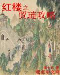 红楼之贾链攻略TXT