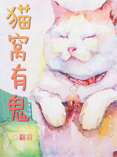 猫窝猫咪会去睡吗