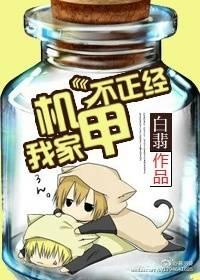 我家机甲不太正经