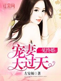 宠妻大丈夫