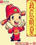 政坛巨星大结局
