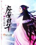 庶女风华许疏愿