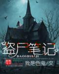 盗盗笔记