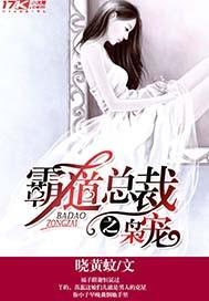 霸道总裁之宠妻上瘾