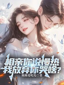 我放弃你哭啥?丁歌TXT