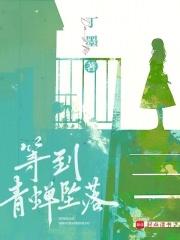 等到青蝉坠落时 丁墨
