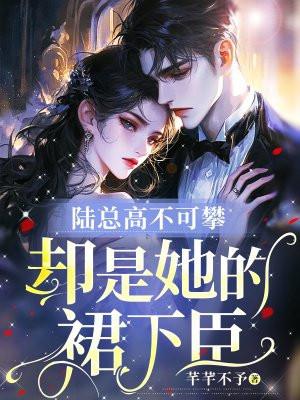 陆总那个是什么电视剧