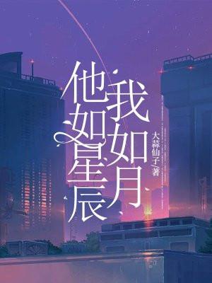 他如星辰不可及免费阅读