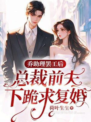 乔总的免费阅读