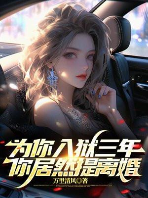 为你入狱你却提离婚齐风