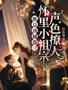 靳总追妻路