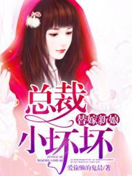 替嫁新娘总裁太难缠