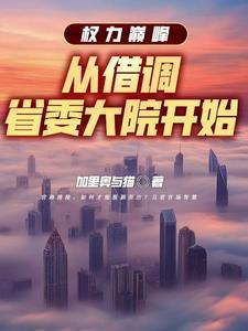 权力巅峰从借调省委大院开始无所谓
