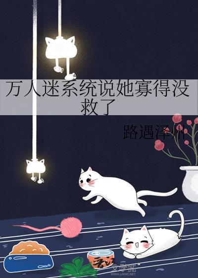 万人迷系统nP