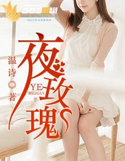 夜玫瑰免费读