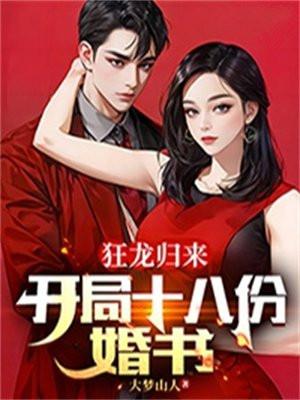 狂龙归来原著