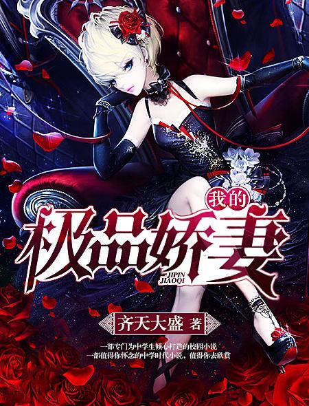 我的极品娇妻张妍阅读
