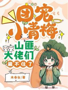 山匪大佬们藏不住了里的明灯大师