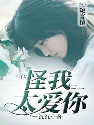 怪我太爱你歌词含义
