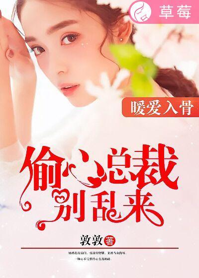 偷心不备总裁大人夜夜宠
